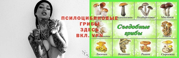 эйфоретик Семикаракорск