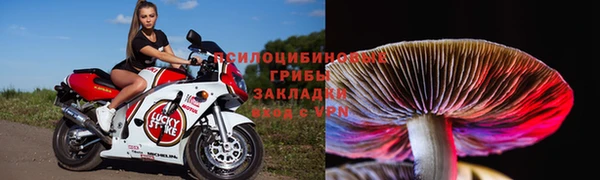 дживик Семилуки