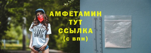 дживик Семилуки