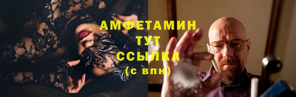 дживик Семилуки