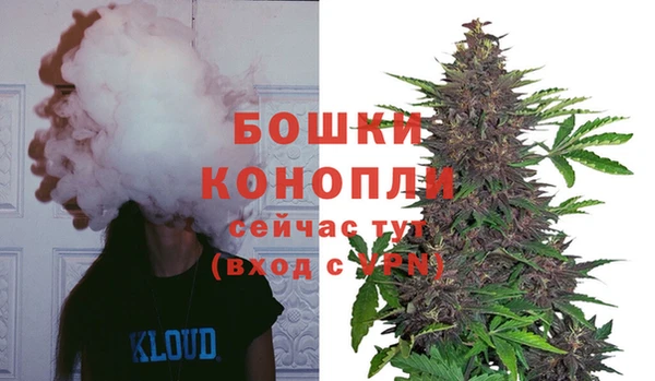 эйфоретик Семикаракорск