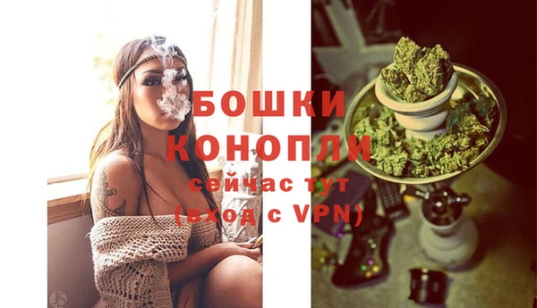 дживик Семилуки