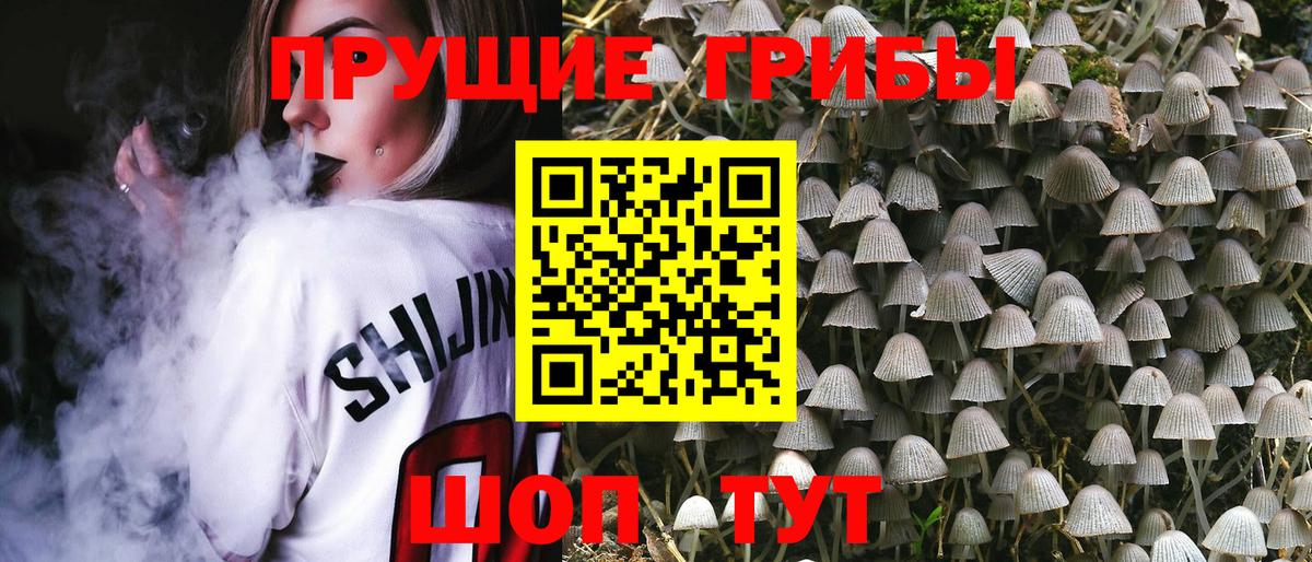 Псилоцибиновые грибы прущие грибы Урюпинск